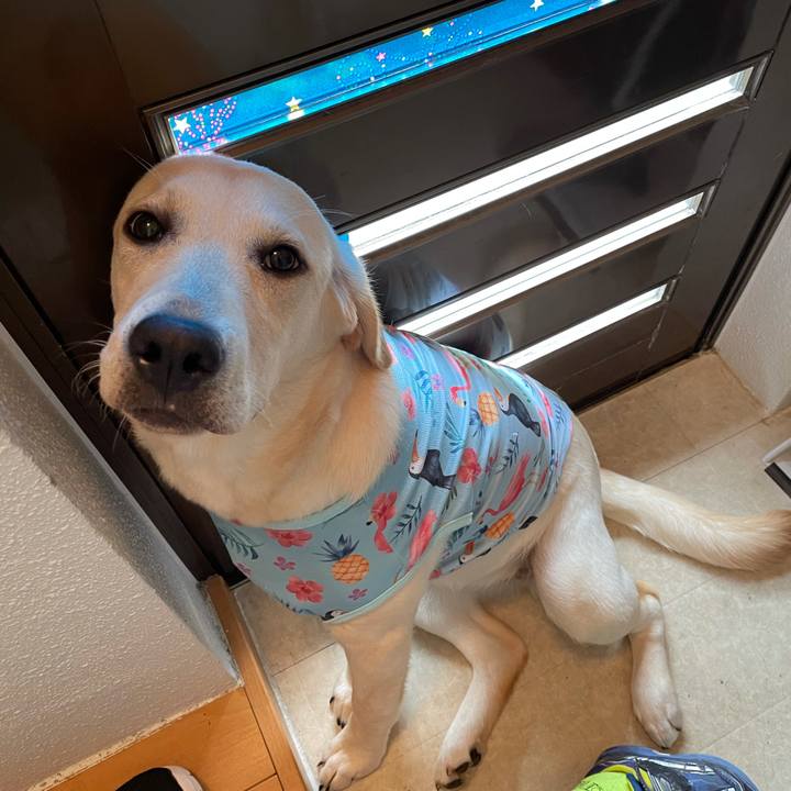 Cff0bfc8 c763 43dc bd77 372df39c20fe 1623806302123