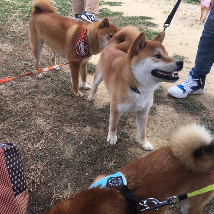 Cff0e749 3a17 49bd 84a2 4df9085d7450 1558329414383