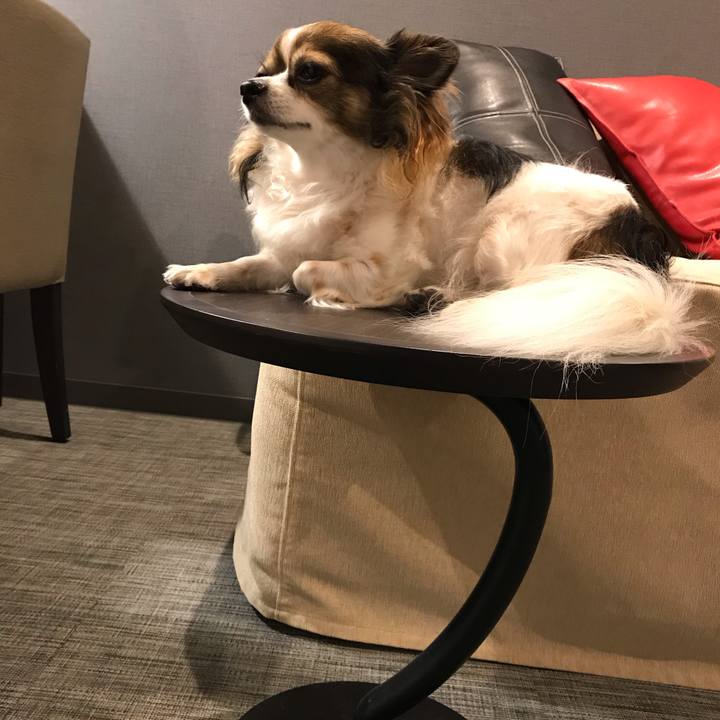 Cff0f72c c06d 475d ab66 165943ce78e5 1569660691170