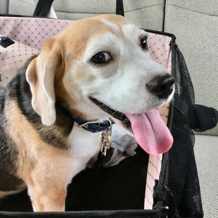 Cff165fc 4eaa 4d6c b2b7 8b65cbfc5d42 1752233525118