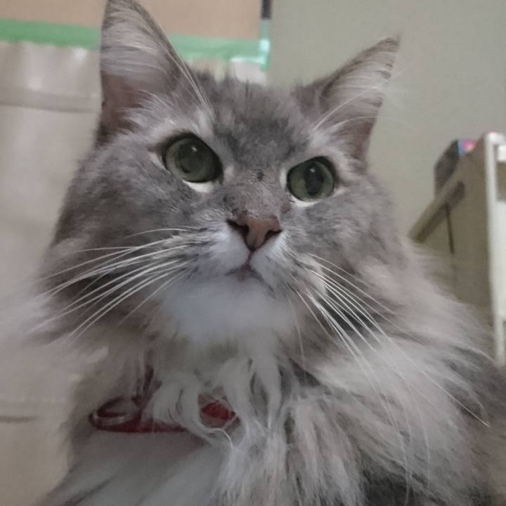 Cff16cc0 027f 4091 b17a 777b813c12d6 1771678634098