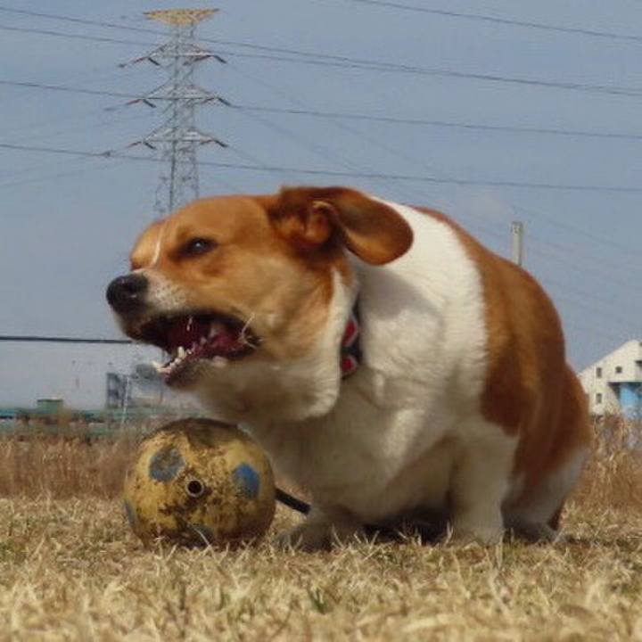 Cff1857a 2696 4e6f a357 af0c55cb3f9c 1645584834208