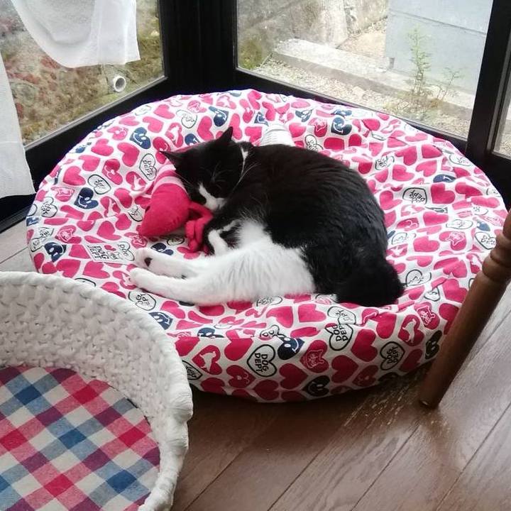 Cff1aabe 5bae 4b13 a232 1860bf86ba1b 1569997604906