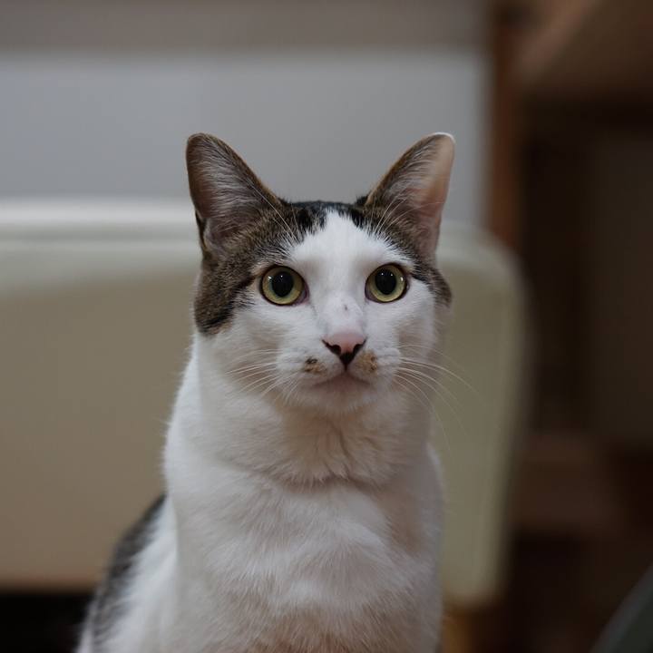 Cff1d883 d2f6 4a95 815a b7c2ff972eed 1552261590186