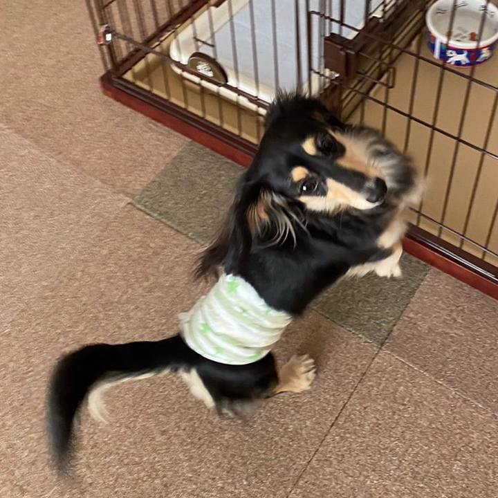 Cff1ee15 8a79 43c5 b331 f7252e615ab2 1706942578991