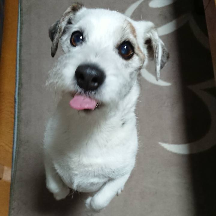 Cff1f246 7010 4543 8c4c 5c57d7e25a88 1556754731230