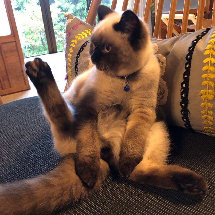 Cff20274 fd32 44b7 a198 38b24d2219d7 1592882629186