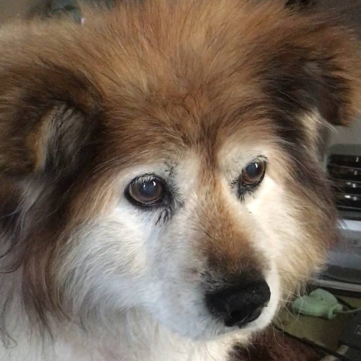 Cff256c4 536c 460e 8626 76e45320c198 1561881797251