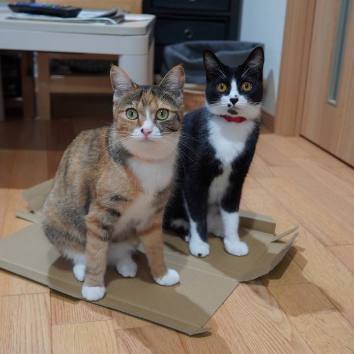 Cff26c36 48b6 4bcd b873 3520918d55f4 1594218359660