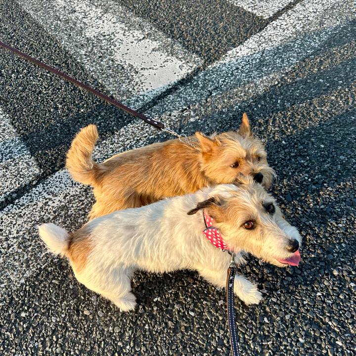 Cff301c8 0480 44ba b9d9 26406b4b1ae9 1750364180800