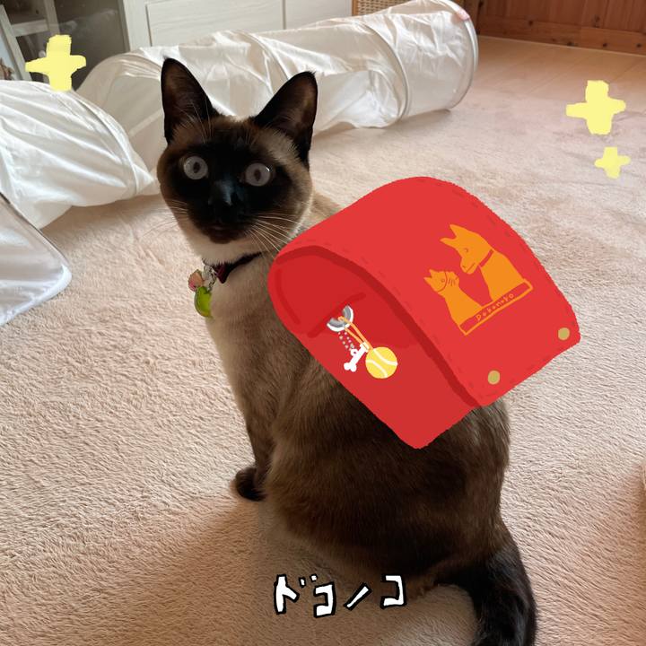 Cff316f9 434d 491f a2ce 934bee4c610f 1744360368242