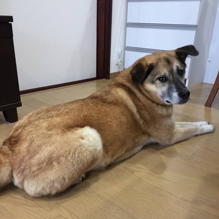 Cff326b2 9fc0 4d0b ba97 b8827bdcddb8 1520496203928