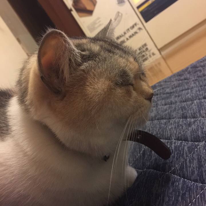 Cff36918 5c52 40f7 90b0 3913e4f24cee 1547904157248