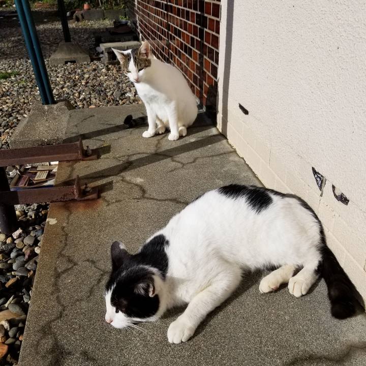 Cff3b0d7 cd8d 423e a503 e7e5f6d869ed 1634875990376