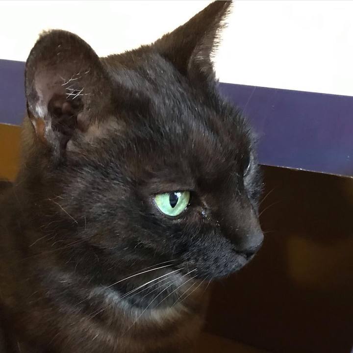 Cff3df70 0d96 467c abe1 fd78df37c0e5 1684618550737