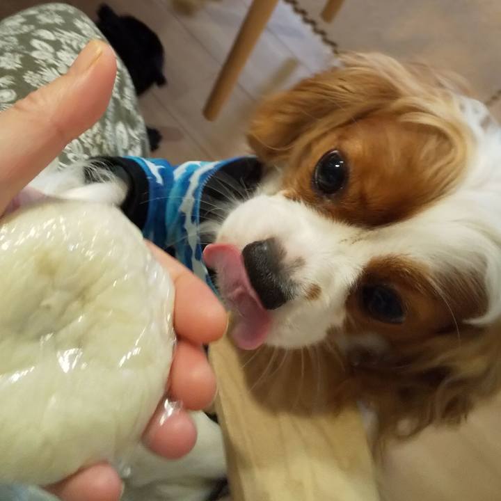 Cff44ded 448d 4c6c abd5 0d659f3beea3 1593353220374