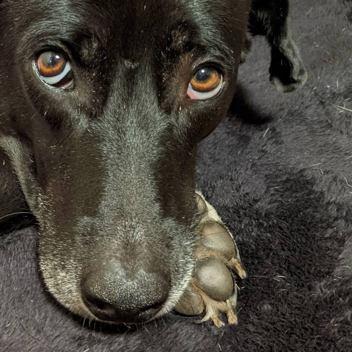 Cff4841f d2a8 49f3 b9b2 863dae9a1d24 1637050957689