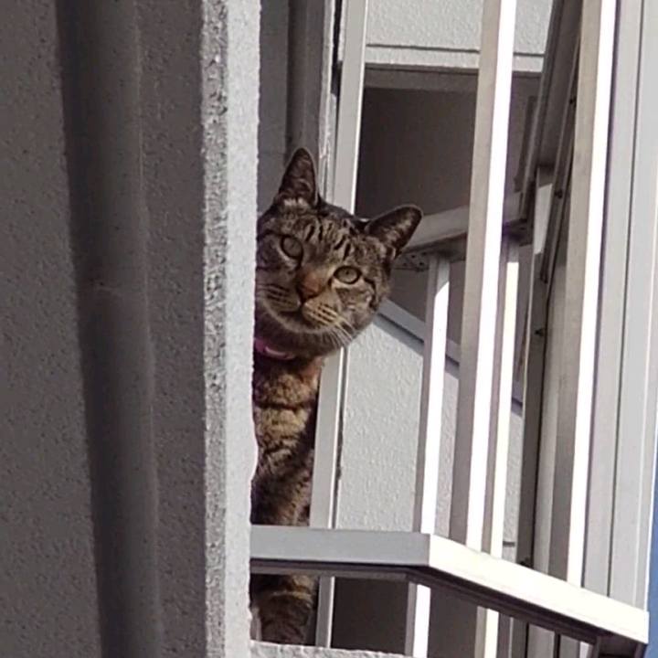 Cff48925 32ad 43da 83c5 5bb34a32a86d 1713781063455