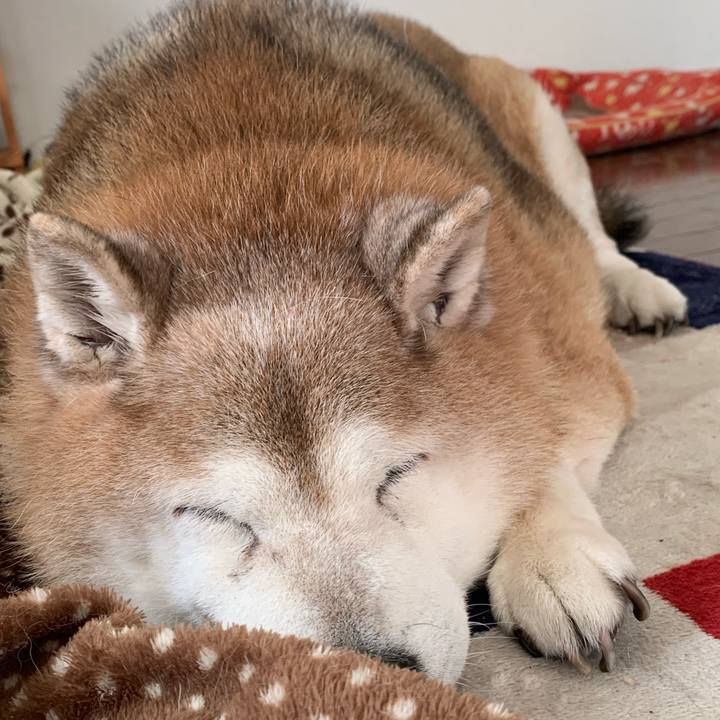 Cff4a9db 5424 4842 935b 46f84d806f05 1640495378302