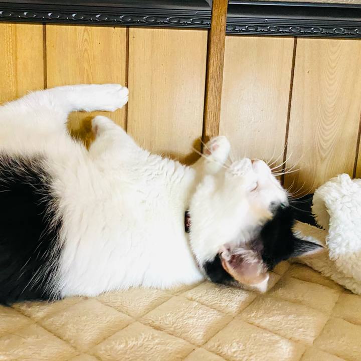 Cff4acec d33c 4d21 98b0 302595cde753 1669902800459