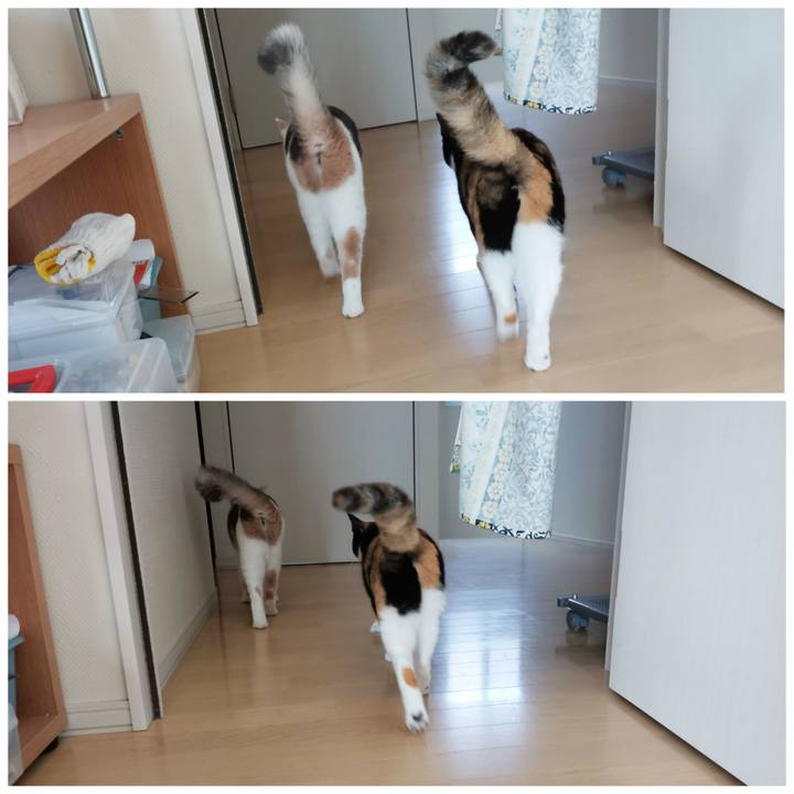 Cff4d4df c571 4c22 b198 310151e3c4b6 1633833890449