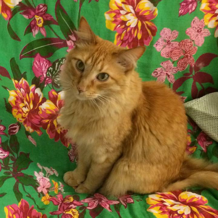 Cff4d53a c55b 4d3f ab28 a5d7c85b8e06 1544323930127