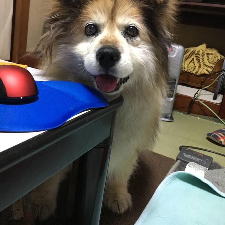 Cff52007 75d9 4212 87c4 4f166c5c3ccf 1608262639080