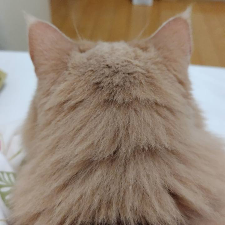 Cff57628 32f3 4b06 b94f 43d03af1ad8a 1695827924119