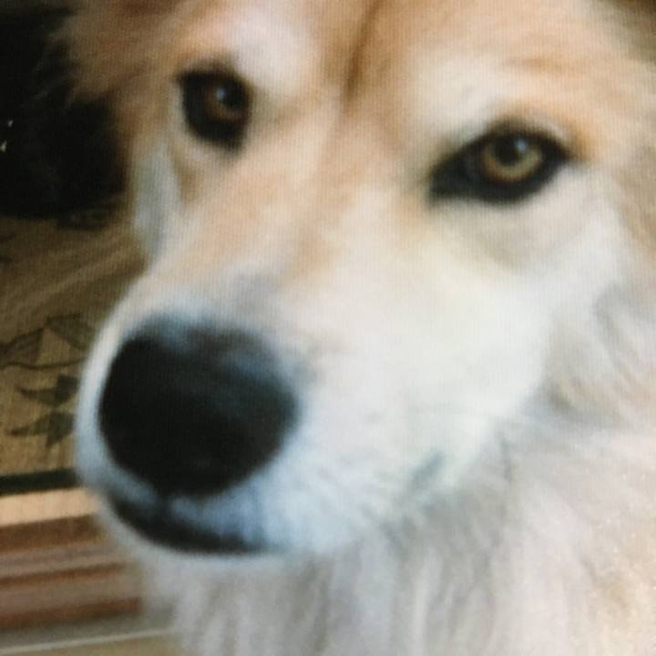 Cff5aed6 79a0 495b b207 4103882a85be 1584142536431