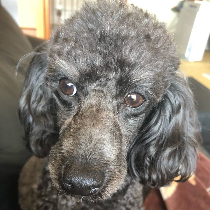 Cff5cf5b 0970 412a b74f 884fe92a8d8d 1588327126331