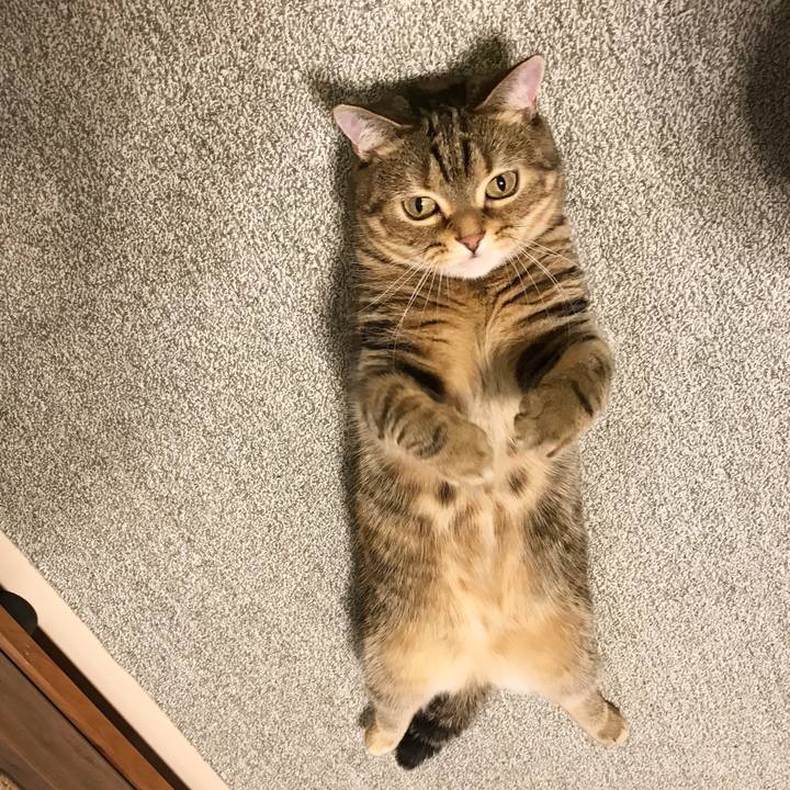 Cff600fe c223 44e9 851e 01aa851f2926 1515412102198