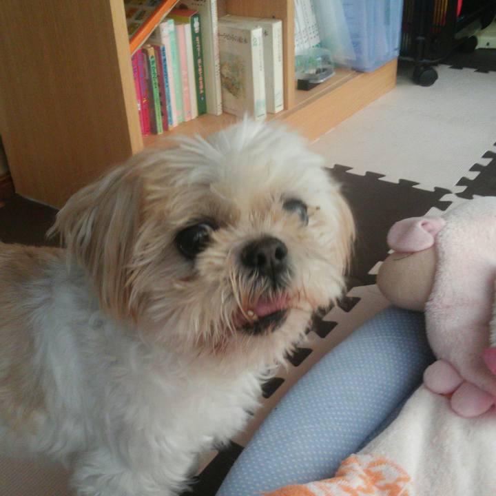 Cff610e5 2105 4013 acd3 35080d31295b 1526904274593