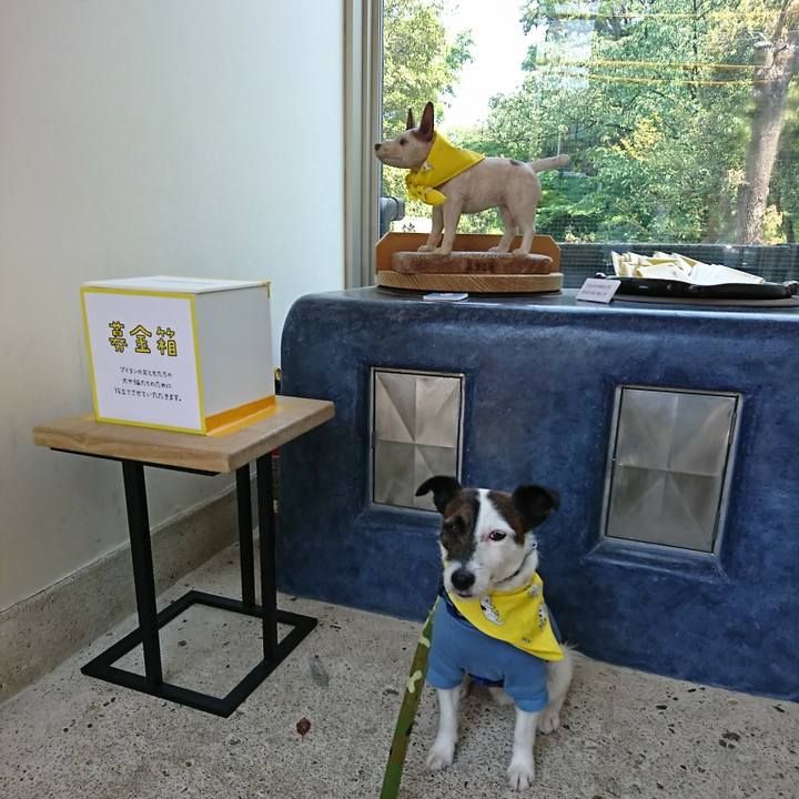 Cff62ed3 c36b 4c4e a2e6 d683ae227e62 1524200348922