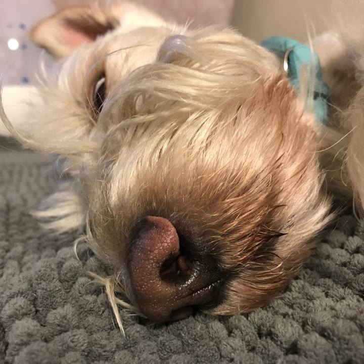 Cff691ae f653 4392 b2be 23b1a1fa213e 1523381381422