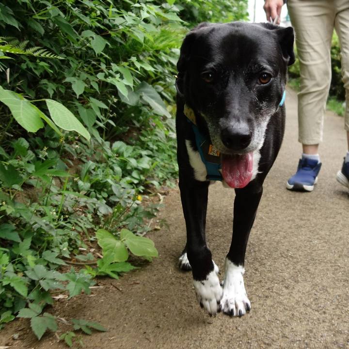 Cff6b44a 690b 44b3 9491 a4e19e463aff 1720652950712