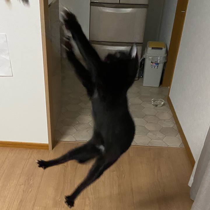 Cff6c60c 5a4a 42b2 b3f8 0500650efe5e 1620132153780