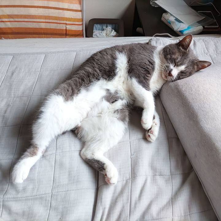 Cff730eb b853 4891 a15c 6de681134612 1685063044015