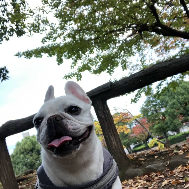 Cff771ee e616 47a2 98c0 91d4cf40608b 1667715598416