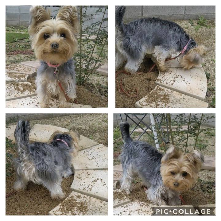 Cff77e27 abd2 43be 970a e1a99cc6fddd 1570073591288