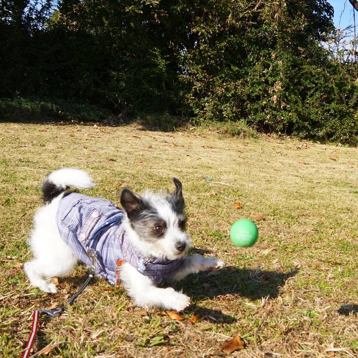 Cff79891 36c6 4e6d 9529 575a27fd59fe 1579522644941