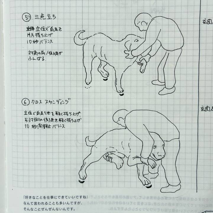 Cff80dd7 267e 46df 8807 8394a2b61fd2 1774144218936