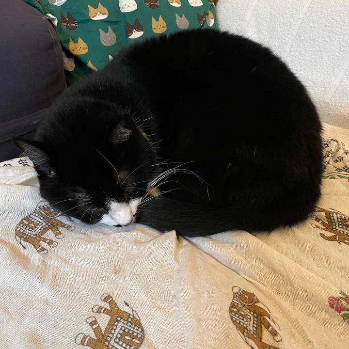 Cff815dd 0e2e 489a beda 28b12459c825 1727952048934