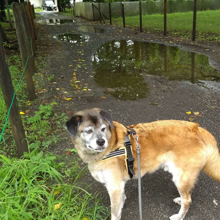 Cff81872 365f 4bc5 afc0 9412984efcb5 1566258749711