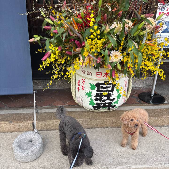 Cff861db 65e7 4e0b 9ebd 9f419a6b2024 1737287559169