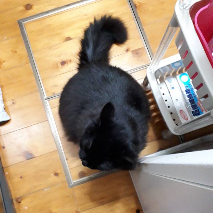 Cff8842a 060b 41c2 af90 3408ca79b19f 1522088263590