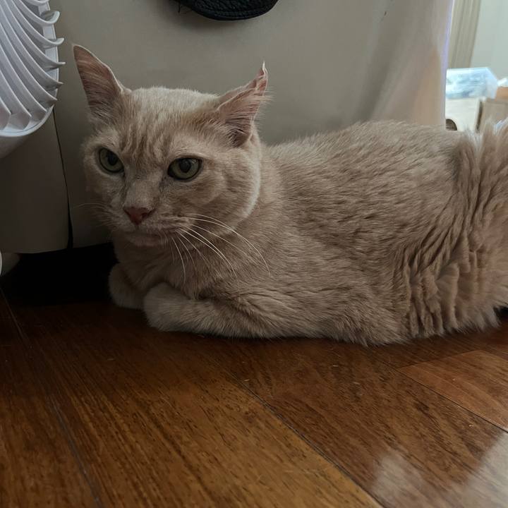 Cff8b13c d5fb 4535 abcd 967e70de932e 1721792745321