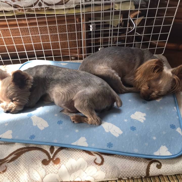 Cff93c6d 467d 4e79 89da c5298f03d2fe 1597236830115