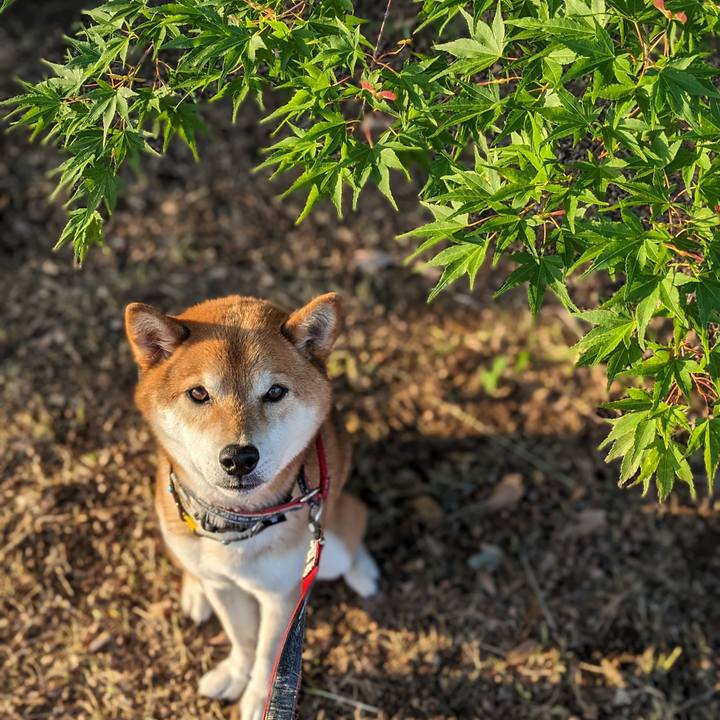 Cff94aa0 62b5 49f8 8569 fd8187a967c2 1715871372935