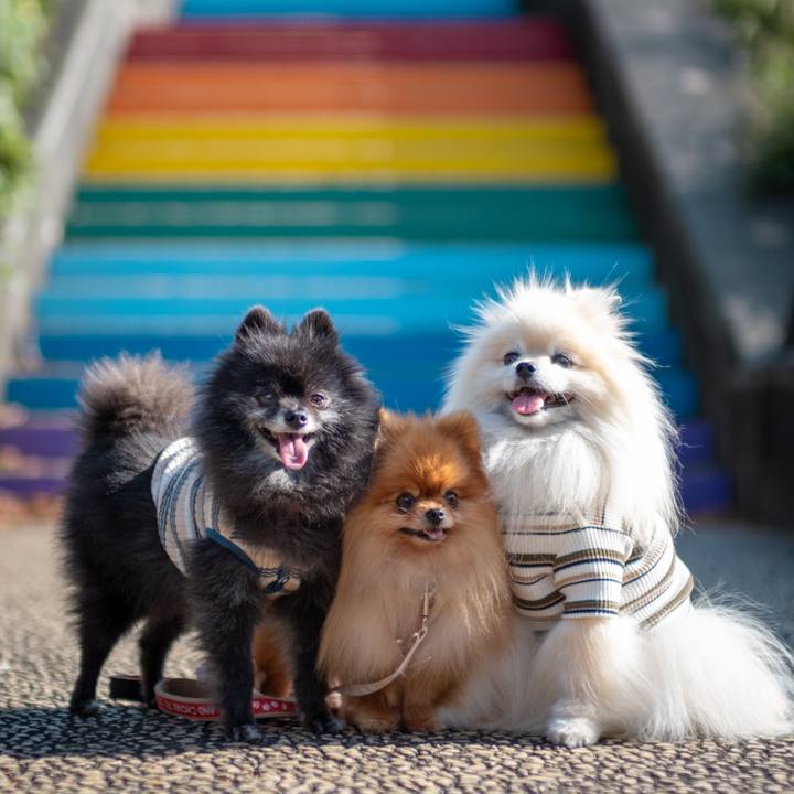 Cff9c740 164c 44cc a62f e8127403e19a 1639833419349