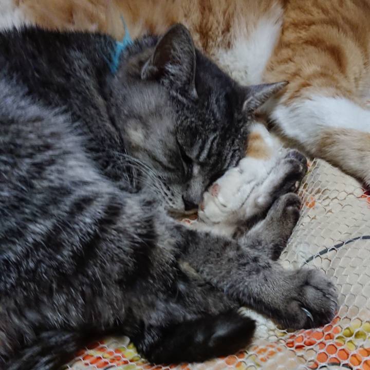 Cff9d310 4268 4a39 adf6 b96b3b533142 1577019085634